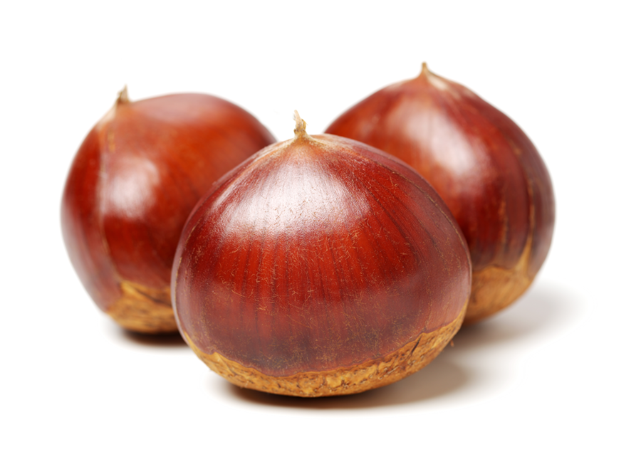castagne