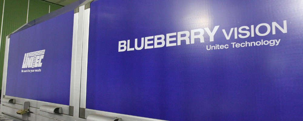 Blueberry Vision: una revolución en la industria del arándano
