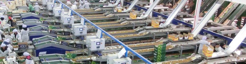 Unitec lanza su División Packaging en Macfrut