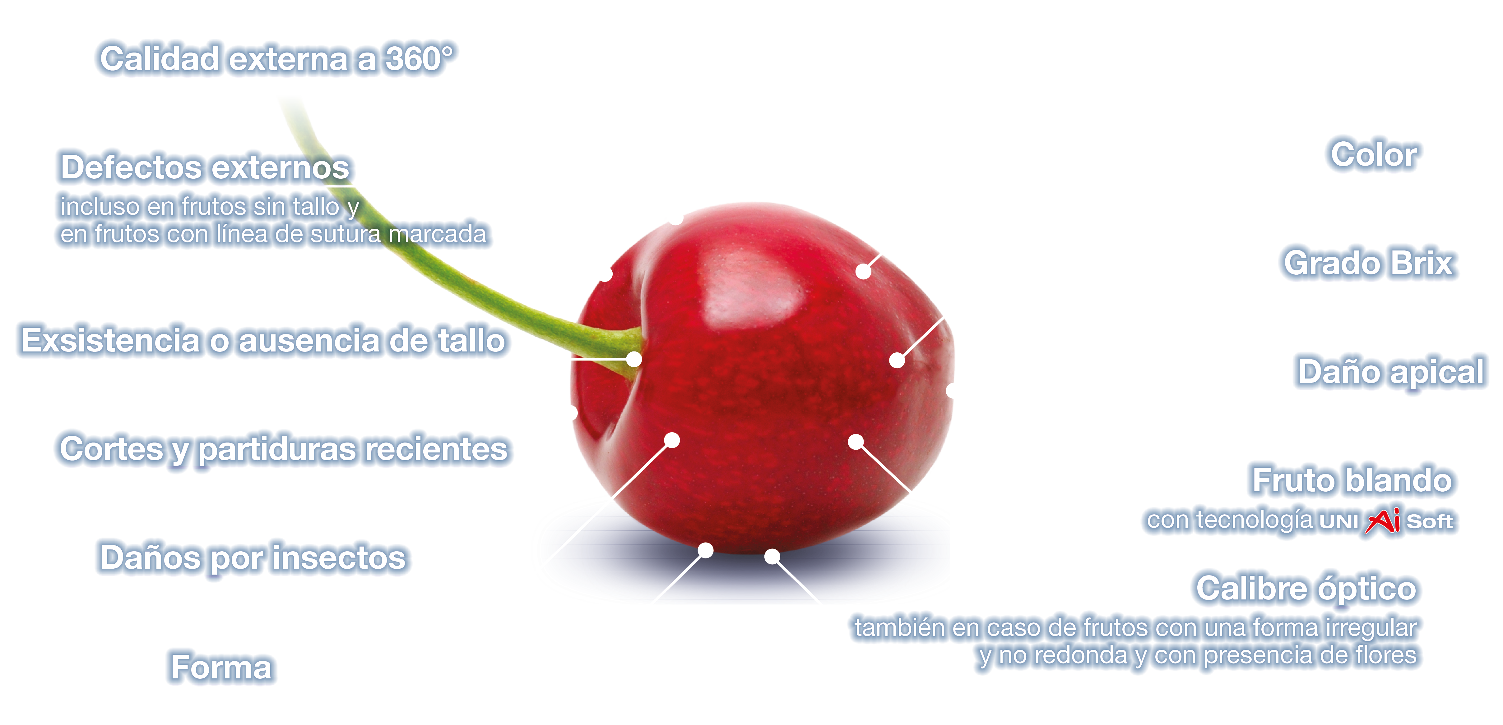 Parámetros de las cerezas Unitec en español